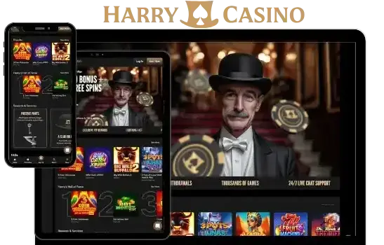 Harry Casino Mobile Gaming Experience image 2