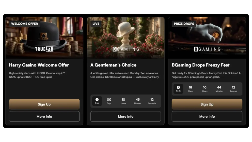 Harry Casino Mobile Gaming Experience image 3